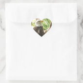 Bald Eagle Hart Sticker (Tas)