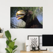 Bald Eagle Hiding poster (Thuiskantoor)