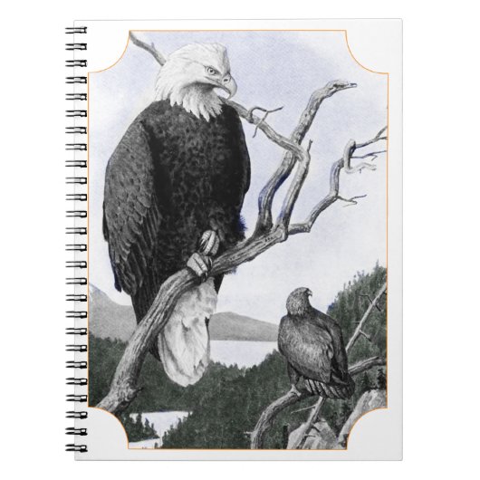 Bald Eagle  Illustratie Notitieboek (Voorkant)