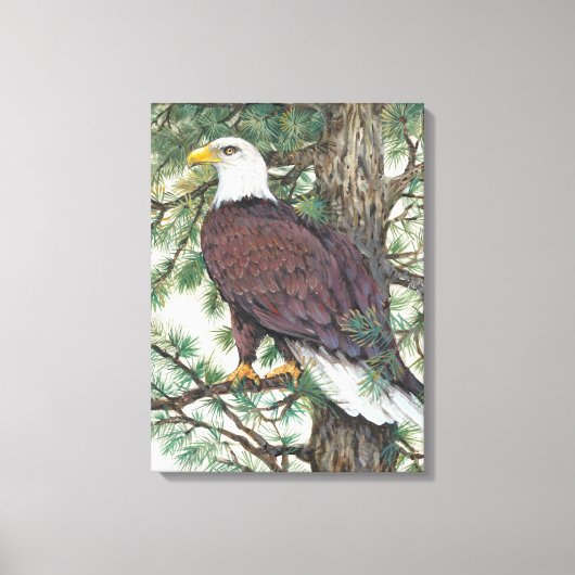 Bald Eagle in Branch Canvas Afdruk (Voorkant)