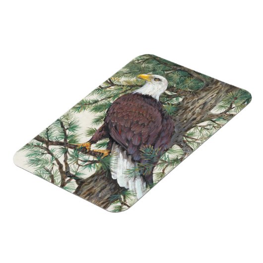 Bald Eagle in Branch Magneet (Linkerzijde)