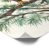 Bald Eagle in Branch Poster (Hoek)