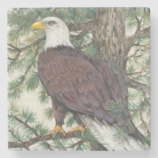 Bald Eagle in Branch Stenen Onderzetter (Voorkant)