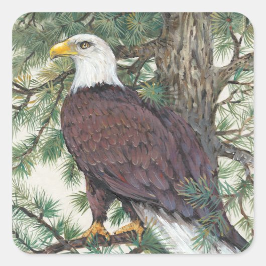 Bald Eagle in Branch Vierkante Sticker (Voorkant)