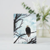 Bald Eagle in een boom met een blauwe hemel en wol Briefkaart (Staand voorkant)