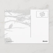 Bald Eagle in een pineboom Briefkaart (Achterkant)