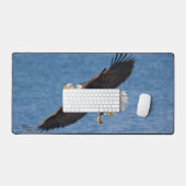 Bald eagle in flight (Clavier et souris)