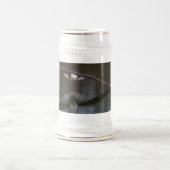 Bald Eagle in Flight Bierpul (Center)