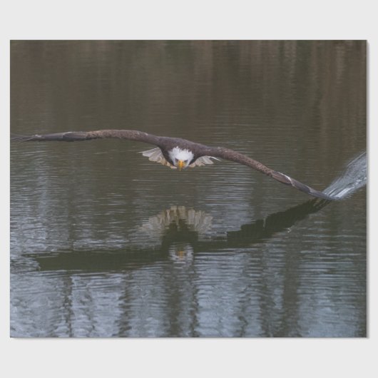 Bald Eagle in Flight Cadeaupapier (Vlak)
