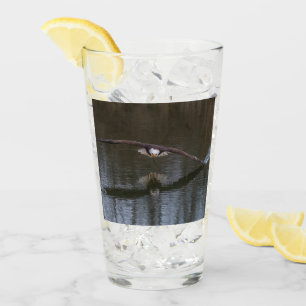 Bald Eagle in Flight Glas