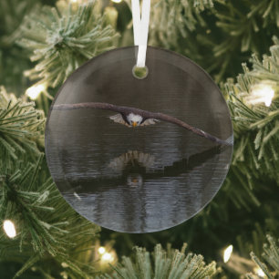 Bald Eagle in Flight Glas Ornament
