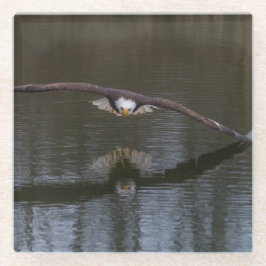 Bald Eagle in Flight Glazen Onderzetter