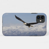 Bald Eagle in Flight, Haliaeetus leucocephalus, 3 Case-Mate iPhone Case (Achterkant (horizontaal))