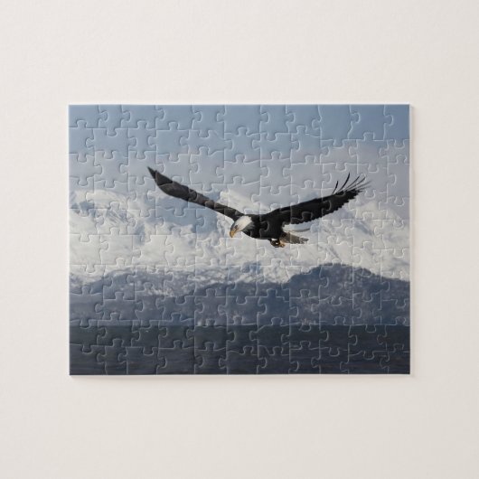 Bald Eagle in Flight, Haliaeetus leucocephalus, Legpuzzel (Horizontaal)