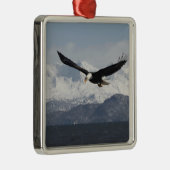 Bald Eagle in Flight, Haliaeetus leucocephalus, Metalen Ornament (Rechts)