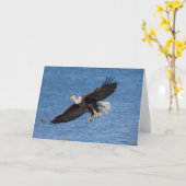 Bald eagle in flight kaart (Gele Bloem)