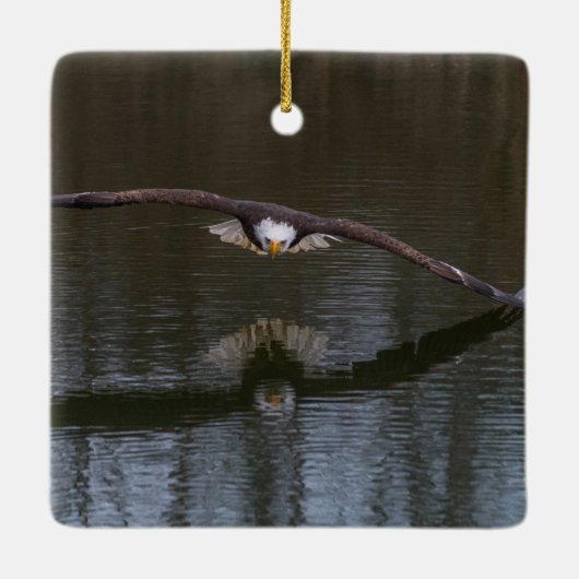 Bald Eagle in Flight Keramisch Ornament (Achterkant)