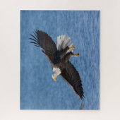Bald eagle in flight legpuzzel (Verticaal)