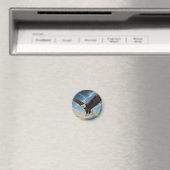 Bald Eagle in Flight Magneet (Insitu (Vaatwasser))