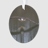 Bald Eagle in Flight Ornament (voorkant)