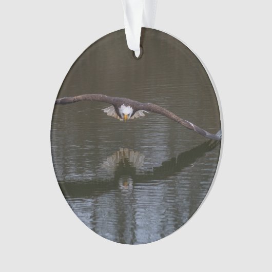 Bald Eagle in Flight Ornament (voorkant)