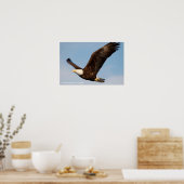 Bald Eagle in Flight Poster (Keuken)