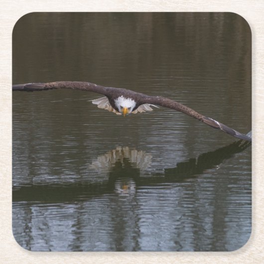 Bald Eagle in Flight Vierkante Kartonnen Onderzetter (Voorkant)