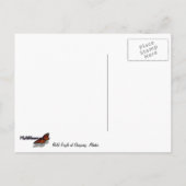 Bald Eagle in Skagway Alaska Briefkaart (Achterkant)