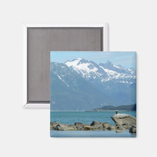 Bald Eagle in Skagway Alaska Magneet (Voorkant / Achterkant)