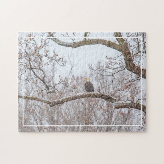 Bald Eagle in sneeuw Legpuzzel (Horizontaal)