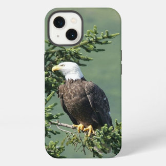 Bald Eagle iPhone 13 Hoesje