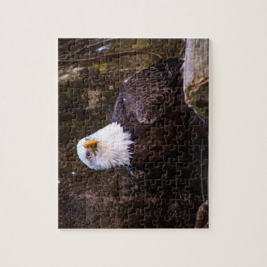 Bald Eagle Jigsaw Puzzle (Vertical)