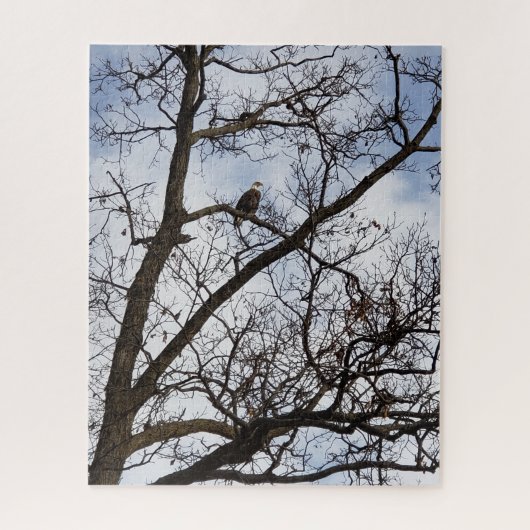 Bald Eagle Jigsaw Puzzle (Vertical)