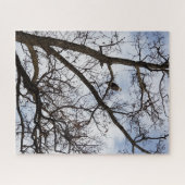 Bald Eagle Jigsaw Puzzle (Horizontal)