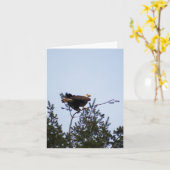 Bald Eagle Kaart (Gele Bloem)