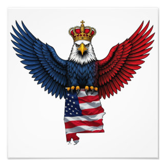 Bald Eagle kaart van de staat ALABAMA Foto Afdruk