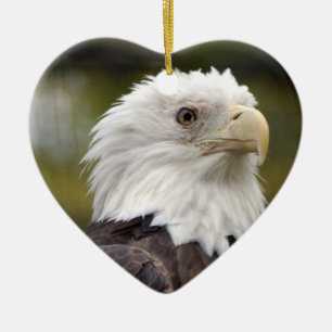 Bald Eagle kerstversiering Keramisch Ornament