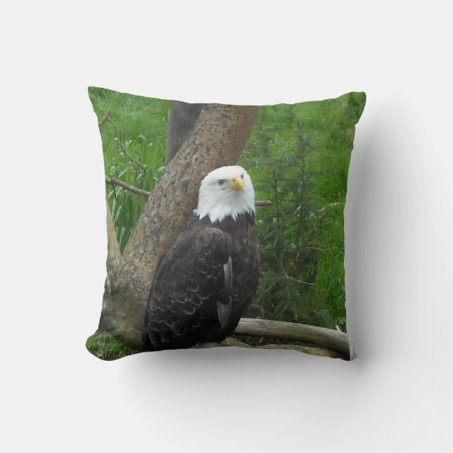 Bald Eagle Kussen (Voorkant)