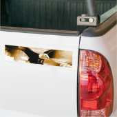 Bald Eagle Landing Bumpersticker (Op Truck)