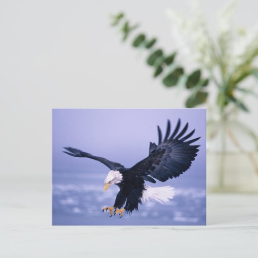 Bald Eagle Landing Wings, verspreid in een Storm, Briefkaart (Staand voorkant)