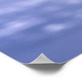 Bald Eagle Landing Wings, verspreid in een Storm, Poster (Hoek)