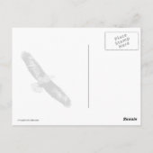 Bald Eagle Leap Briefkaart (Achterkant)