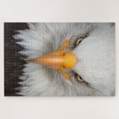 Bald Eagle Legpuzzel (Horizontaal)