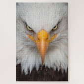 Bald Eagle Legpuzzel (Verticaal)