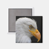 Bald Eagle Magneet (Voorkant / Achterkant)