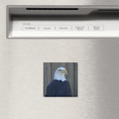Bald Eagle Magneet (Insitu (Vaatwasser))