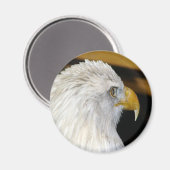 Bald Eagle Magneet (Voorkant / Achterkant)