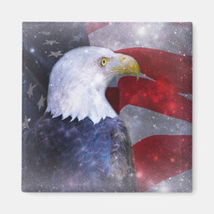 Bald Eagle Magneet