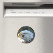 Bald Eagle Magneet (Insitu (Vaatwasser))