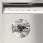 Bald Eagle magnet Magneet (Insitu (Vaatwasser))
